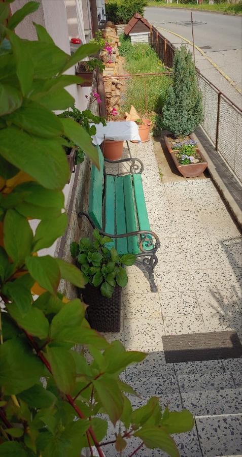 Apartman Adam Cesky Krumlov Exterior photo